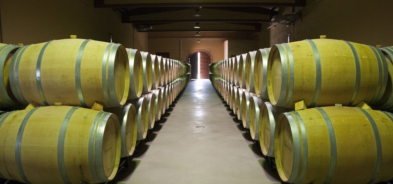 barrel cellar numanthia